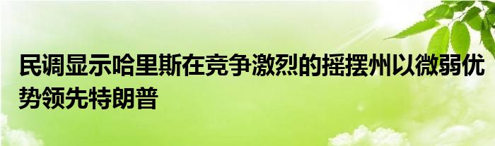 民调显示哈里斯在竞争激烈的摇摆州以微弱优势领先特朗普