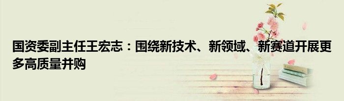 国资委副主任王宏志：围绕新技术、新领域、新赛道开展更多高质量并购