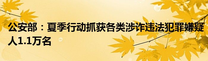 公安部：夏季行动抓获各类涉诈违法犯罪嫌疑人1.1万名