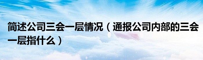 简述公司三会一层情况（通报公司内部的三会一层指什么）