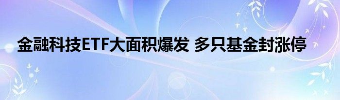 
科技ETF大面积爆发 多只基金封涨停