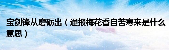 宝剑锋从磨砺出（通报梅花香自苦寒来是什么意思）