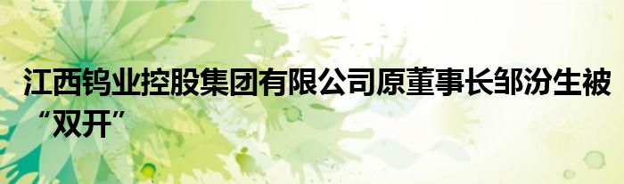 江西钨业控股集团有限公司原董事长邹汾生被“双开”