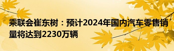 乘联会崔东树：预计2024年国内汽车零售销量将达到2230万辆