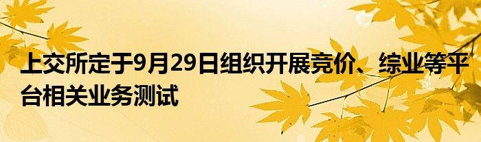 上交所定于9月29日组织开展竞价、综业等平台相关业务测试