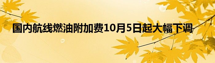 国内航线燃油附加费10月5日起大幅下调