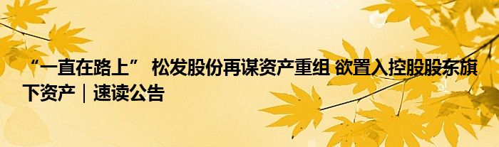 “一直在路上” 松发股份再谋资产重组 欲置入控股股东旗下资产｜速读公告