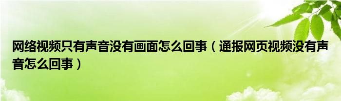 网络视频只有声音没有画面怎么回事（通报网页视频没有声音怎么回事）