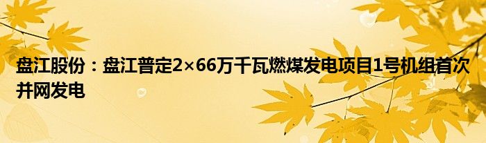 盘江股份：盘江普定2×66万千瓦燃煤发电项目1号机组首次并网发电