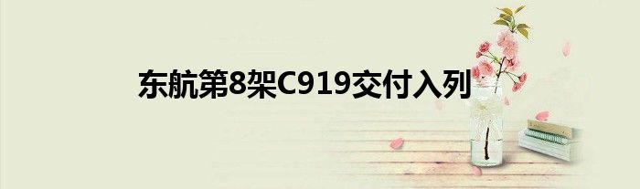 东航第8架C919交付入列