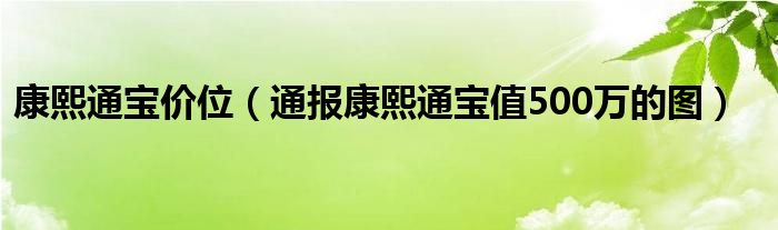 康熙通宝价位（通报康熙通宝值500万的图）