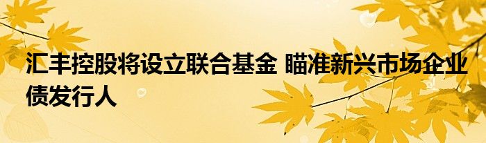 汇丰控股将设立联合基金 瞄准新兴市场企业债发行人