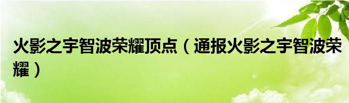 火影之宇智波荣耀顶点（通报火影之宇智波荣耀）