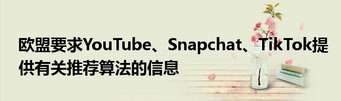 欧盟要求YouTube、Snapchat、TikTok提供有关推荐算法的信息