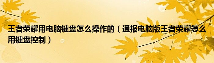 王者荣耀用电脑键盘怎么操作的（通报电脑版王者荣耀怎么用键盘控制）