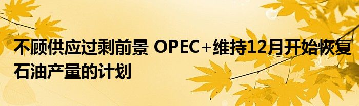 不顾供应过剩前景 OPEC+维持12月开始恢复石油产量的计划