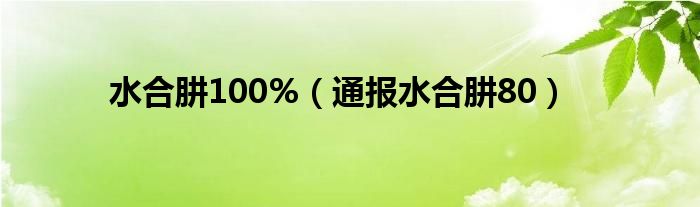 水合肼100%（通报水合肼80）