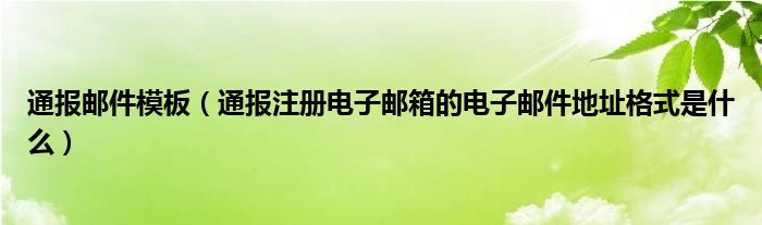 通报邮件模板（通报注册电子邮箱的电子邮件地址格式是什么）