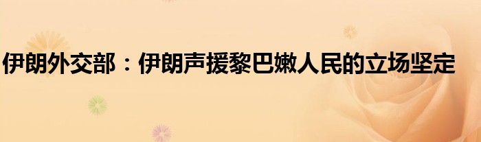 伊朗外交部：伊朗声援黎巴嫩人民的立场坚定