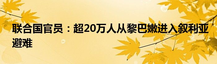 联合国官员：超20万人从黎巴嫩进入叙利亚避难