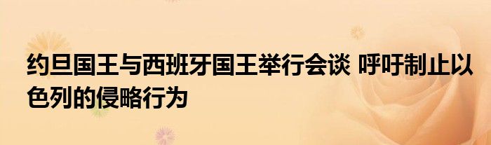 约旦国王与西班牙国王举行会谈 呼吁制止以色列的侵略行为