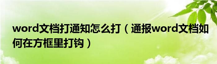 word文档打通知怎么打（通报word文档如何在方框里打钩）