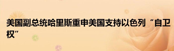 美国副总统哈里斯重申美国支持以色列“自卫权”