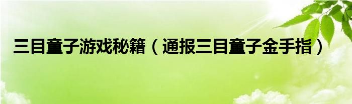 三目童子游戏秘籍（通报三目童子金手指）