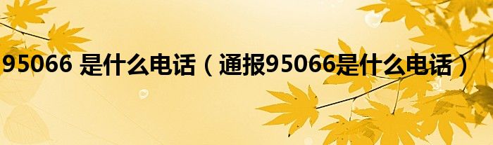 95066 是什么电话（通报95066是什么电话）