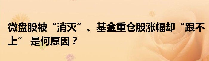 微盘股被“消灭”、基金重仓股涨幅却“跟不上” 是何原因？