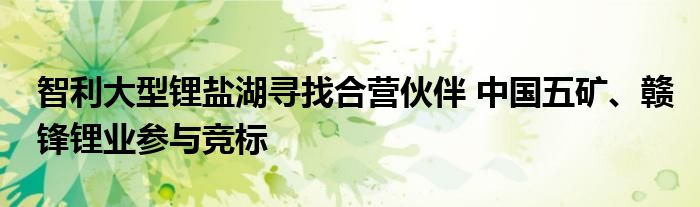 智利大型锂盐湖寻找合营伙伴 中国五矿、赣锋锂业参与竞标