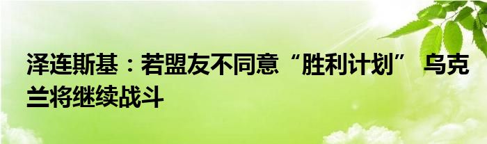 泽连斯基：若盟友不同意“胜利计划” 乌克兰将继续战斗