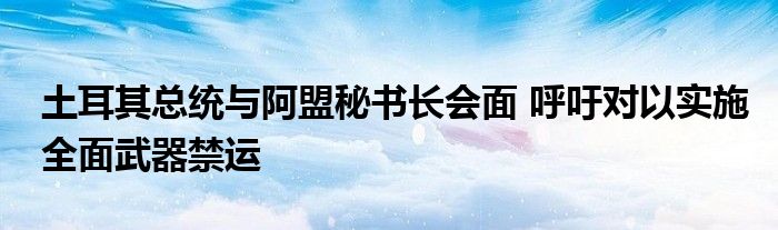 土耳其总统与阿盟秘书长会面 呼吁对以实施全面武器禁运