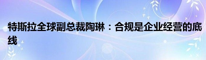 特斯拉全球副总裁陶琳：合规是企业经营的底线