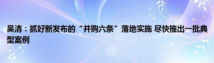 吴清：抓好新发布的“并购六条”落地实施 尽快推出一批典型案例