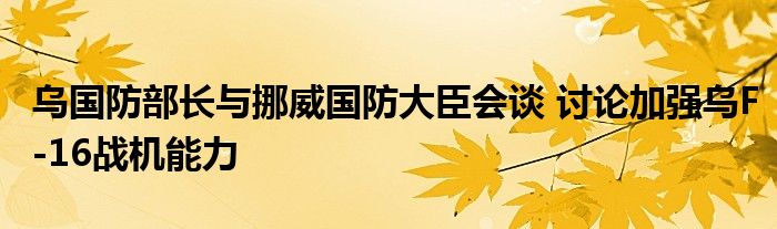 乌国防部长与挪威国防大臣会谈 讨论加强乌F-16战机能力