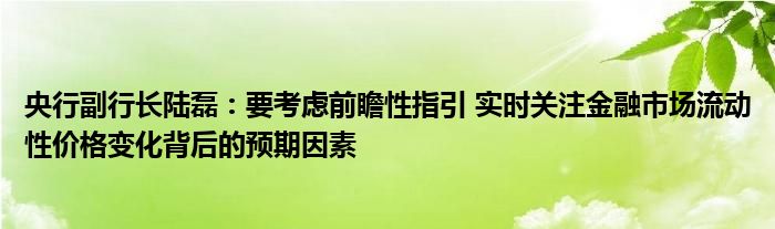 央行副行长陆磊：要考虑前瞻性指引 实时关注
市场流动性价格变化背后的预期因素