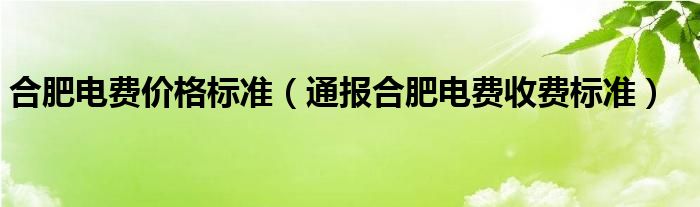 合肥电费价格标准（通报合肥电费收费标准）