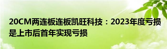 20CM两连板连板凯旺科技：2023年度亏损是上市后首年实现亏损