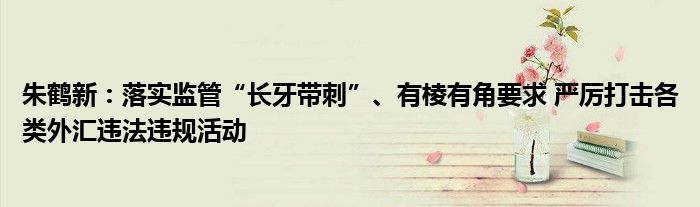 朱鹤新：落实监管“长牙带刺”、有棱有角要求 严厉打击各类外汇违法违规活动