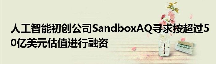 人工智能初创公司SandboxAQ寻求按超过50亿美元估值进行融资