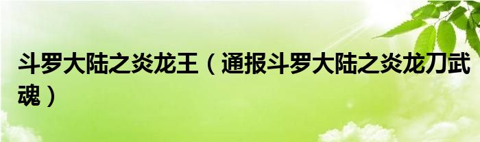 斗罗大陆之炎龙王（通报斗罗大陆之炎龙刀武魂）