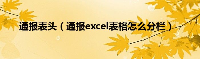 通报表头（通报excel表格怎么分栏）