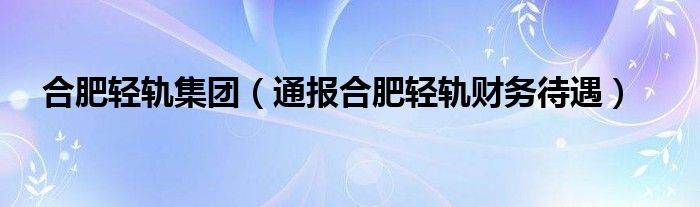 合肥轻轨集团（通报合肥轻轨财务待遇）