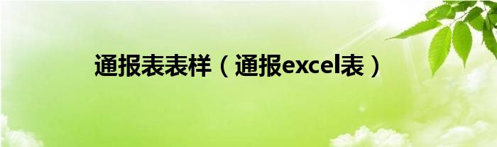 通报表表样（通报excel表）