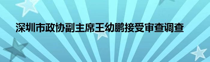 深圳市政协副主席王幼鹏接受审查调查