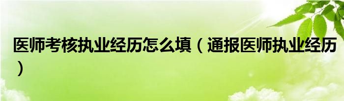 医师考核执业经历怎么填（通报医师执业经历）