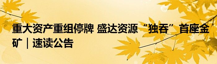 重大资产重组停牌 盛达资源“独吞”首座金矿｜速读公告