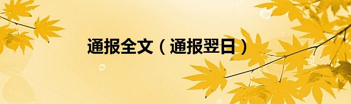 通报全文（通报翌日）