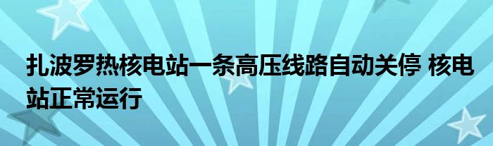 扎波罗热核电站一条高压线路自动关停 核电站正常运行